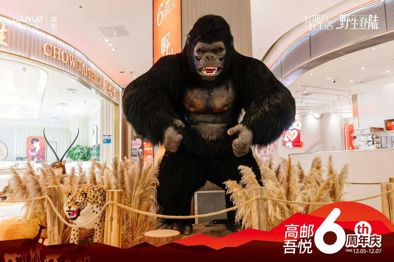 如图片无法显示，请耐心等待