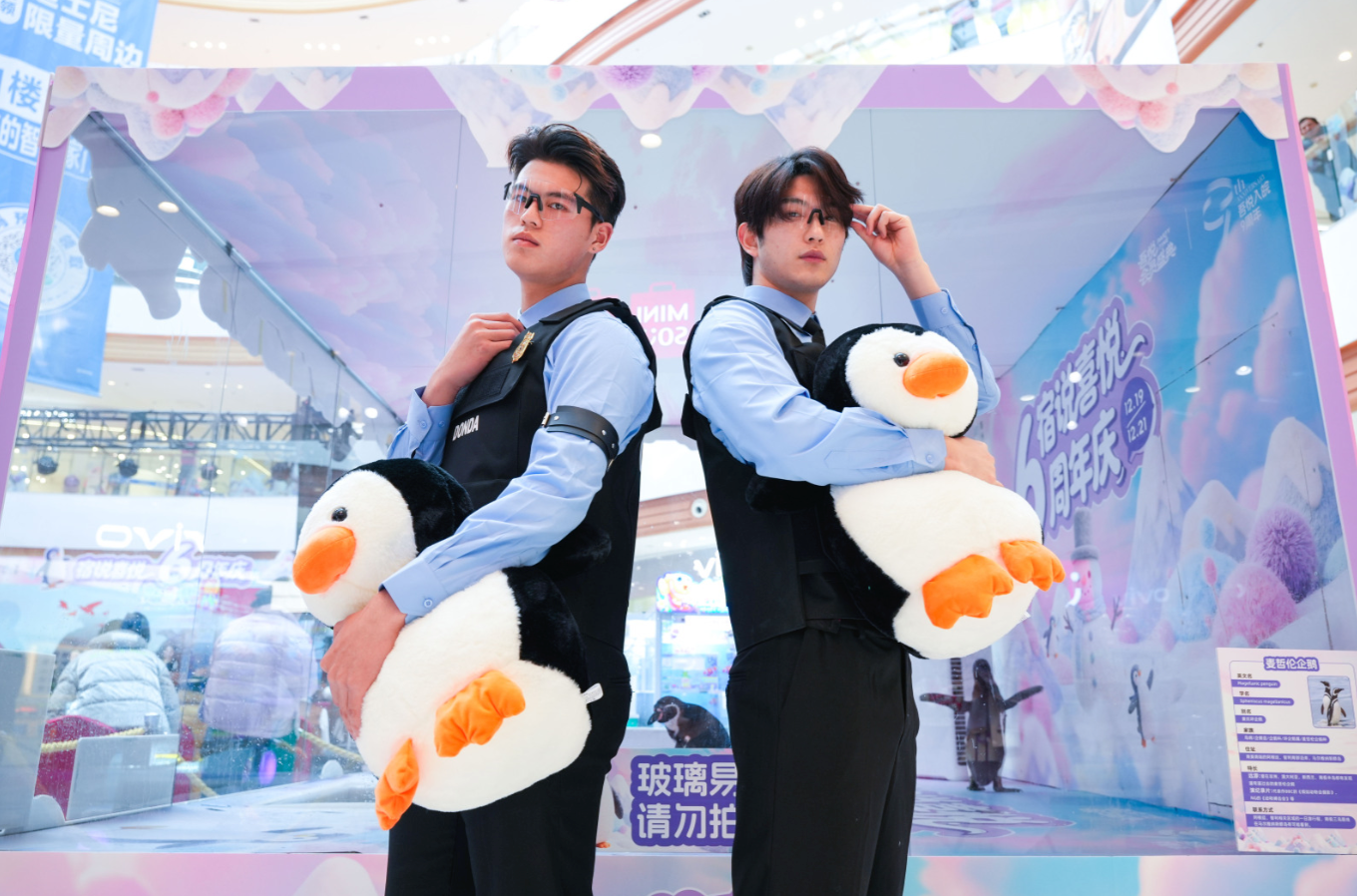 如图片无法显示，请耐心等待