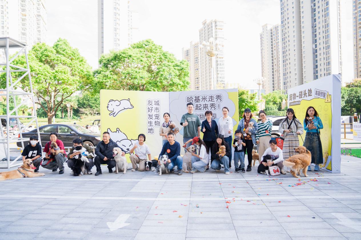 如图片无法显示,请耐心等待