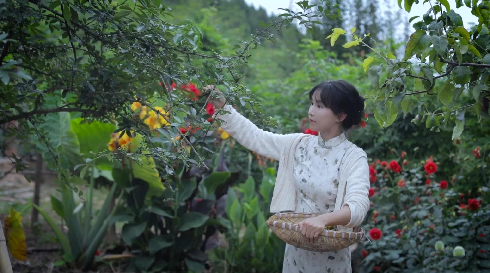 如图片无法显示，请耐心等待