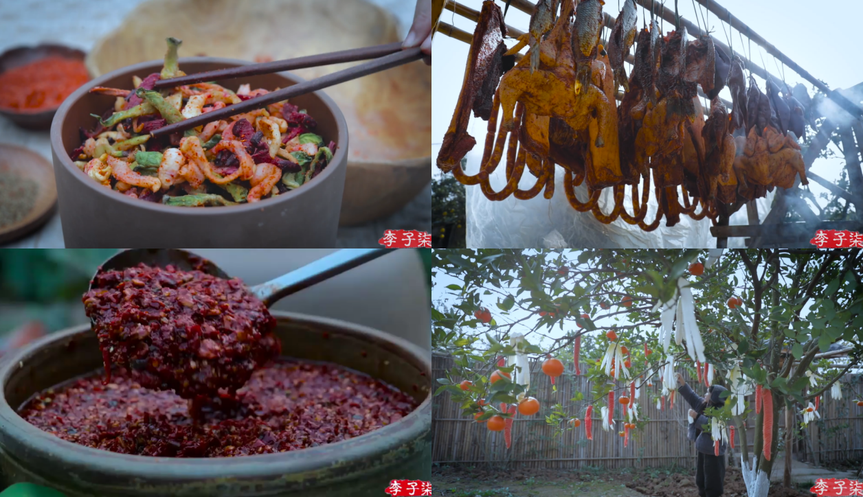 冬藏春生:在李子柒视频里看见最古老的养生哲学.docx 如图片无法显示,请耐心等待