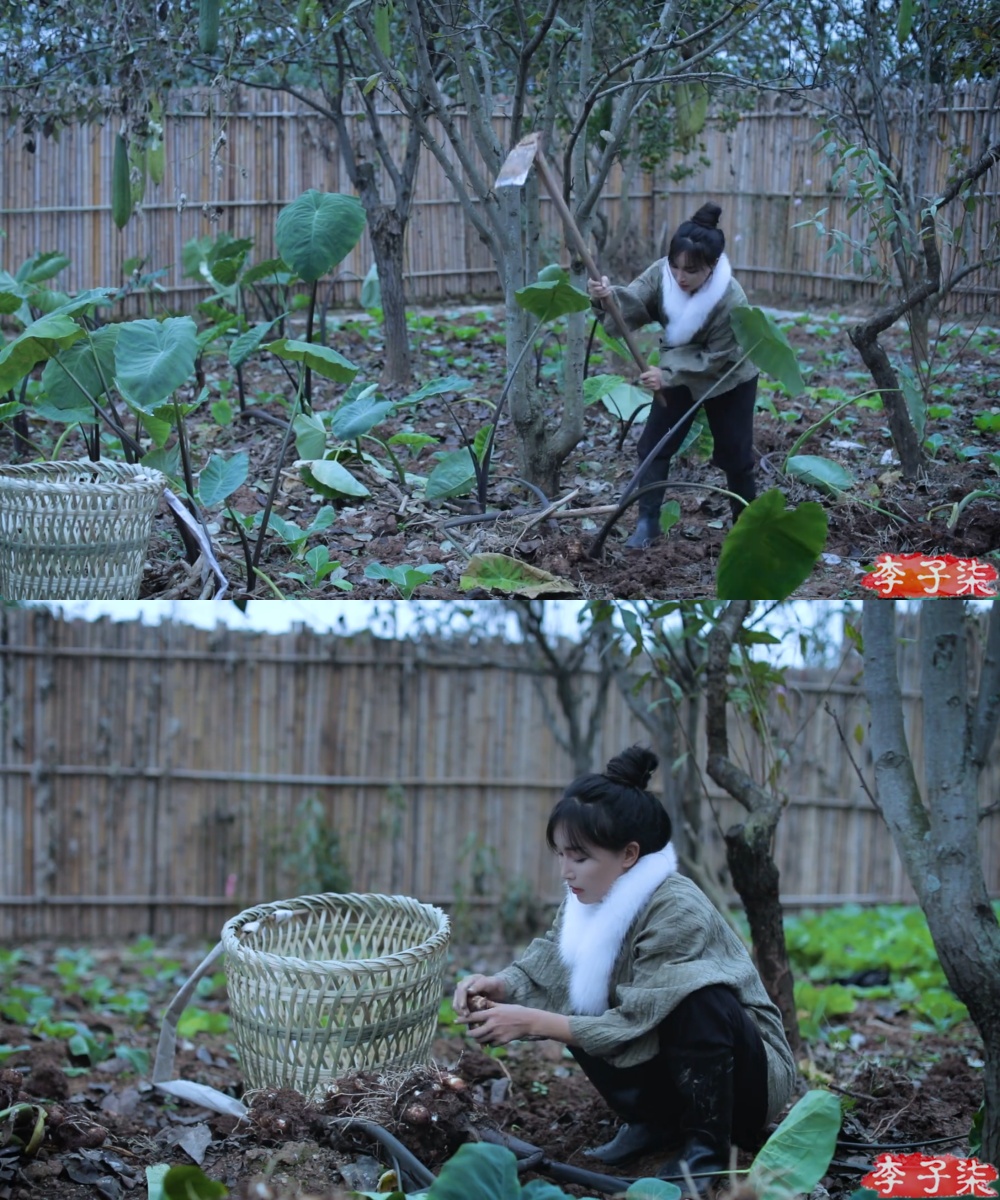 如图片无法显示，请耐心等待