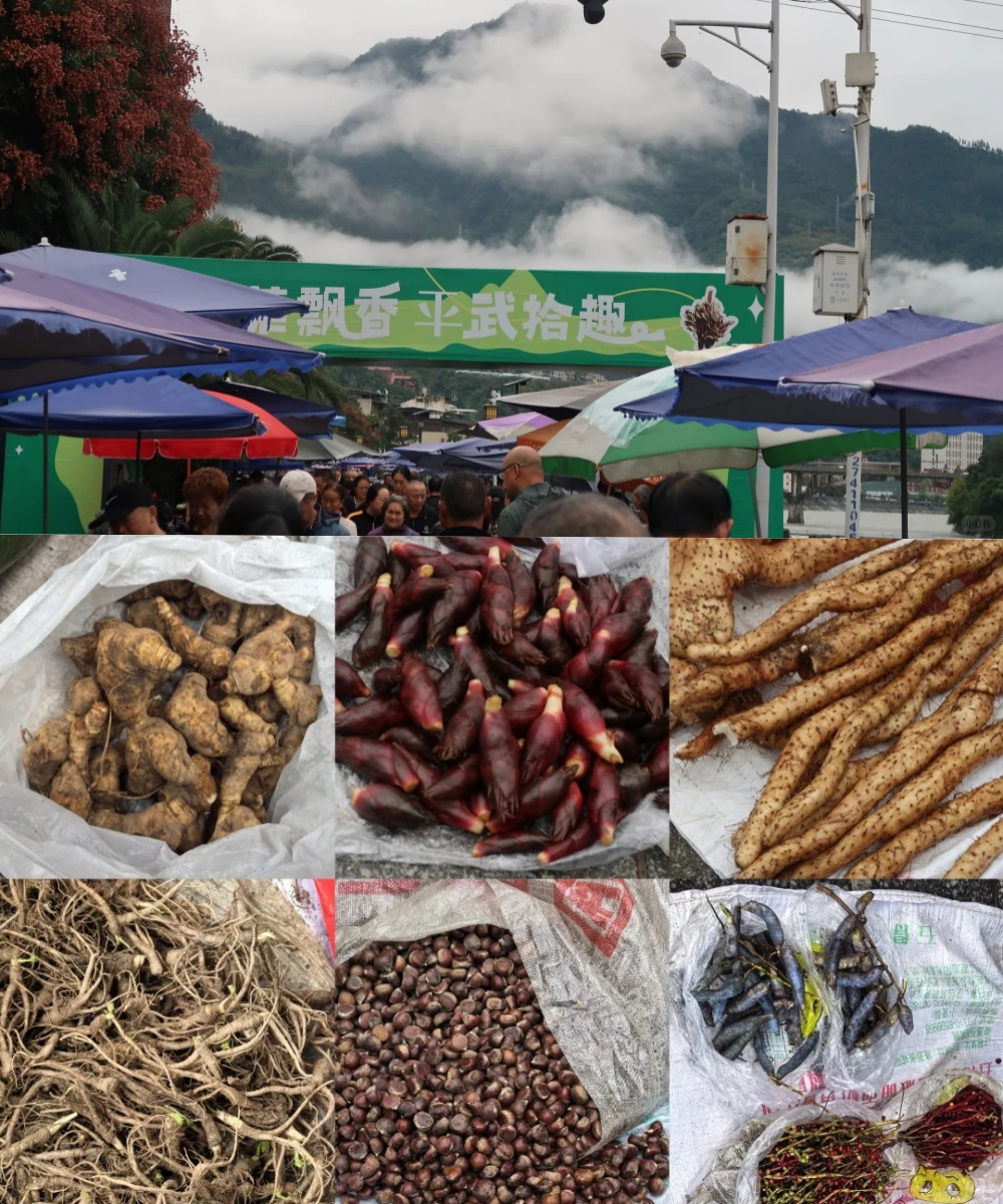 如图片无法显示，请耐心等待