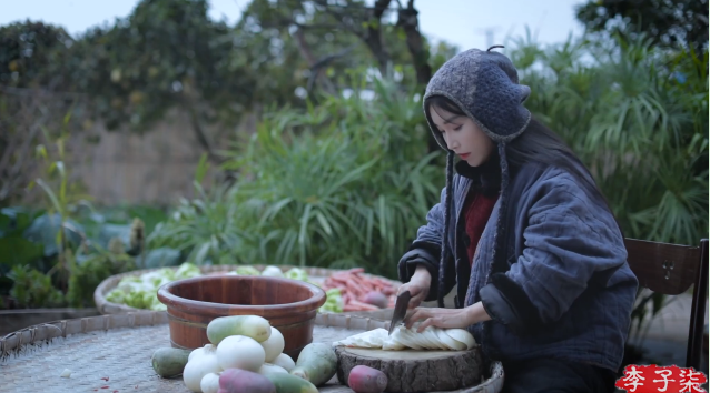 冬藏春生:在李子柒视频里看见最古老的养生哲学.docx 如图片无法显示,请耐心等待