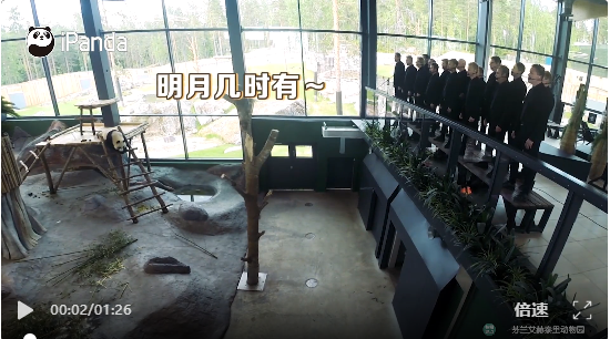 互联网上的四川四大顶流 哪个是你的心头宝.docx 如图片无法显示,请耐心等待