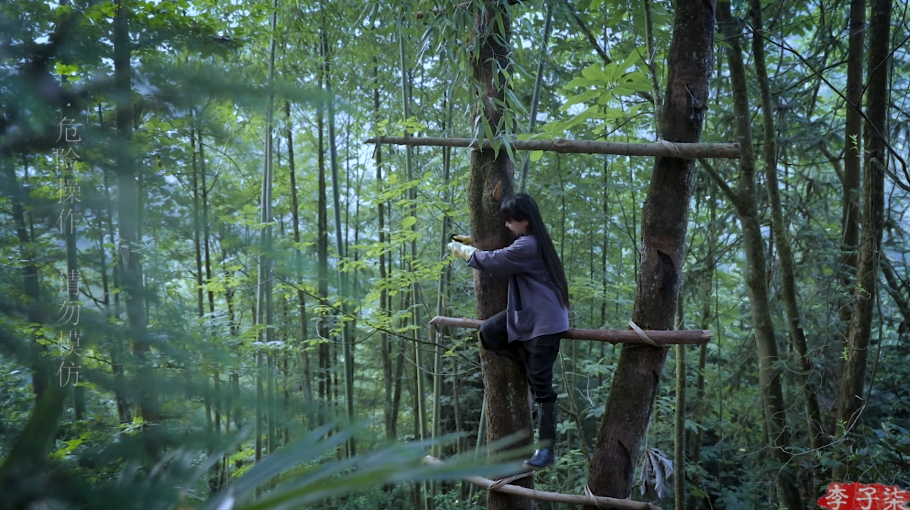 如图片无法显示，请耐心等待