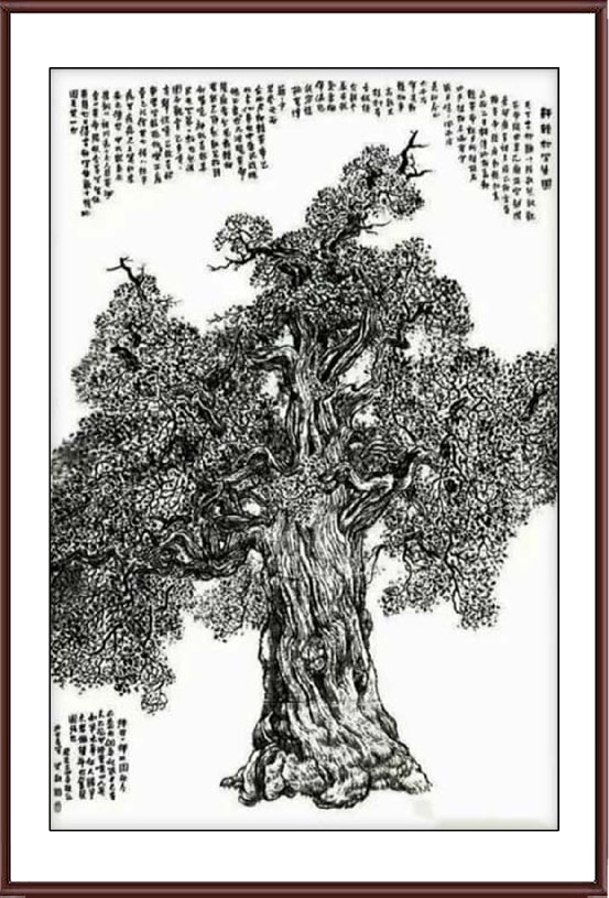 如图片无法显示，请耐心等待