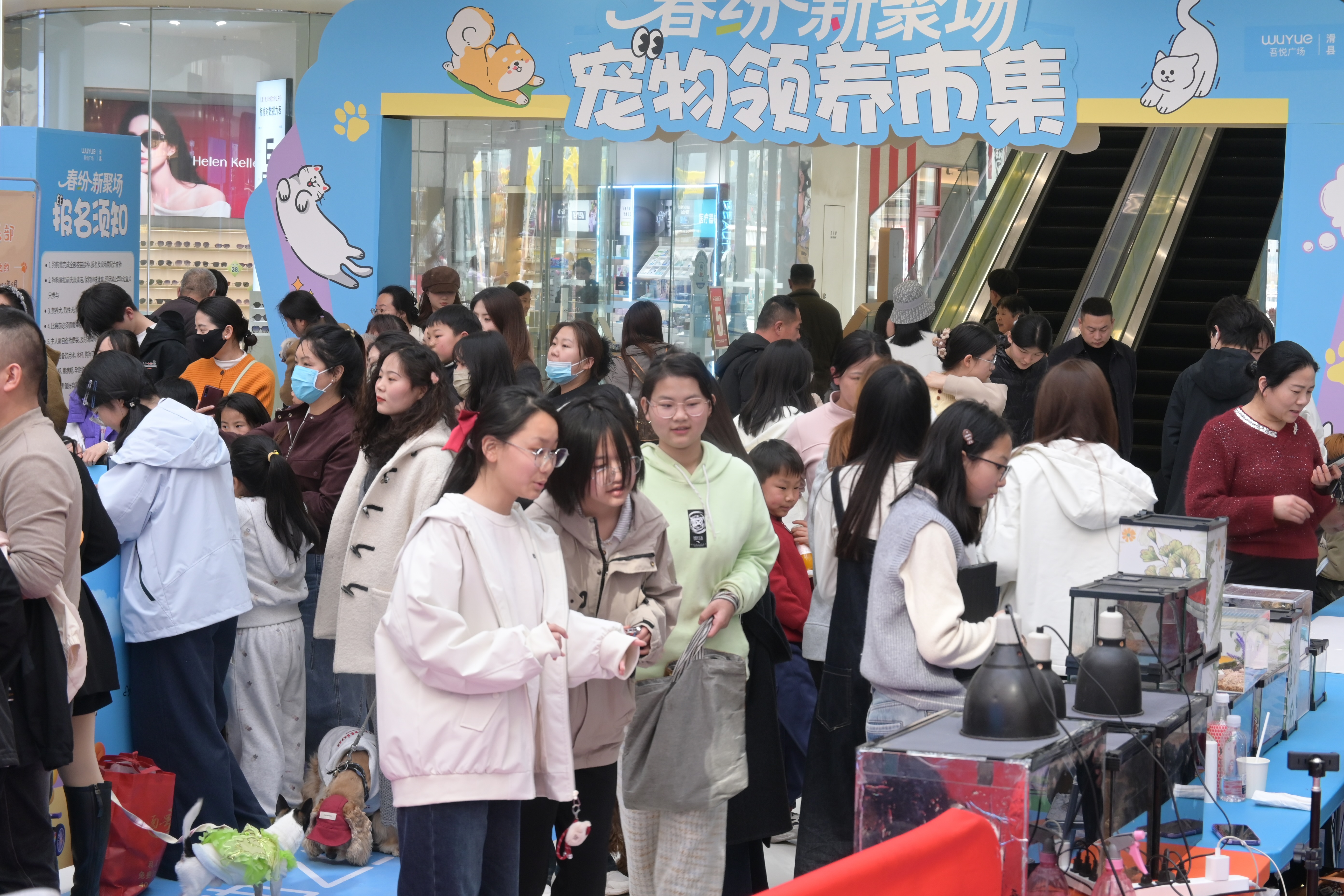 如图片无法显示，请耐心等待