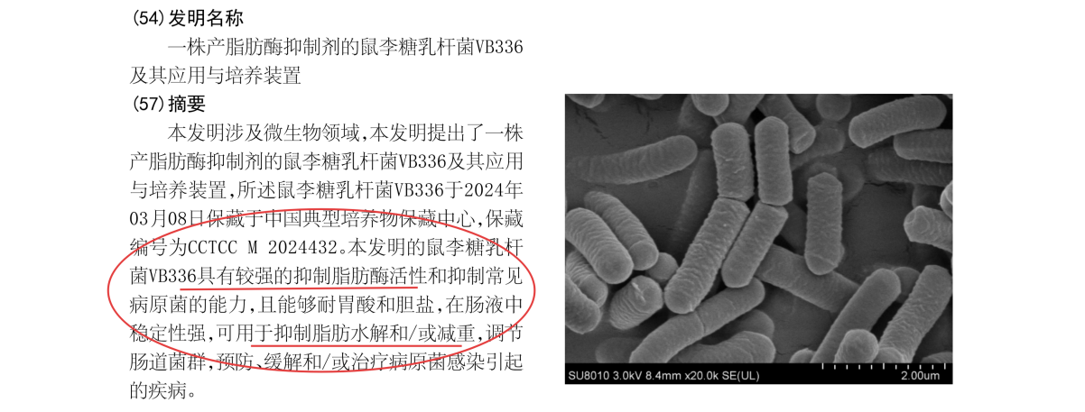 如图片无法显示，请耐心等待