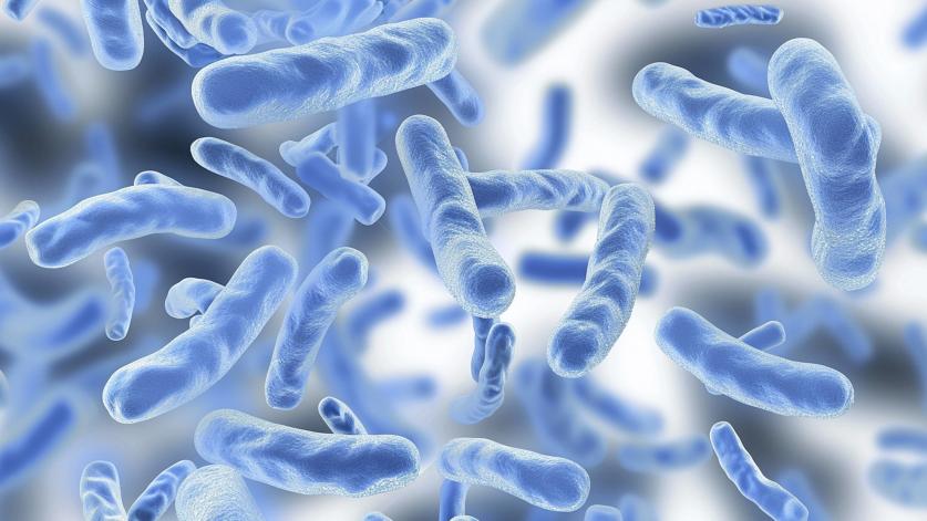 ��ͼƬ�޷���ʾ�������ĵȴ�