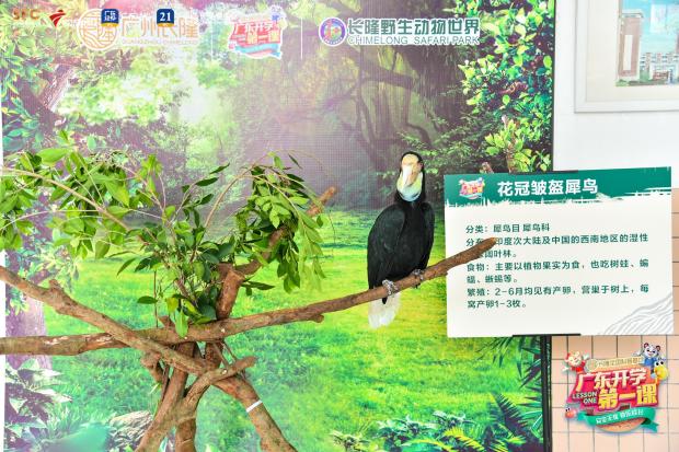 如图片无法显示，请耐心等待