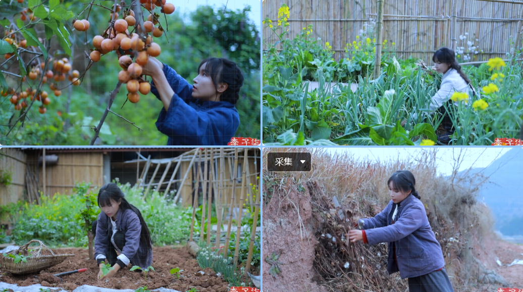 如图片无法显示，请耐心等待